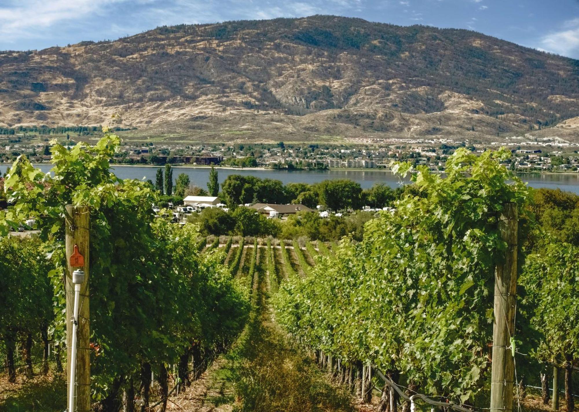 Coast Osoyoos Beach Hotel Extérieur photo